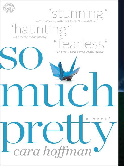 Title details for So Much Pretty by Cara Hoffman - Wait list